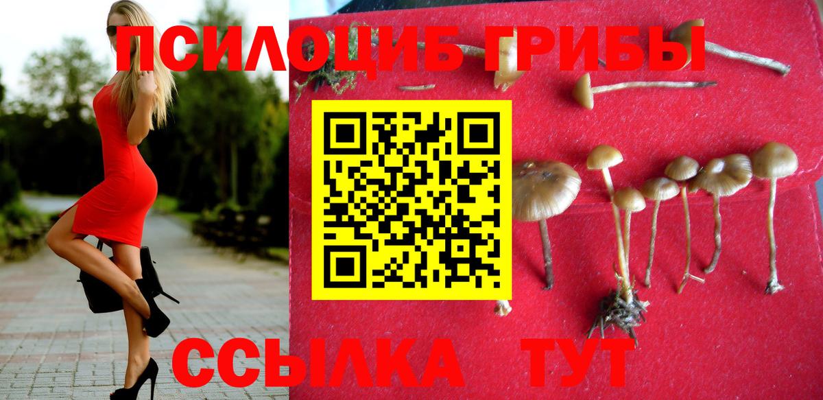 Галлюциногенные грибы GOLDEN TEACHER  Вход с VPN  Конаково  Галлюциногенные грибы Psilocybe 