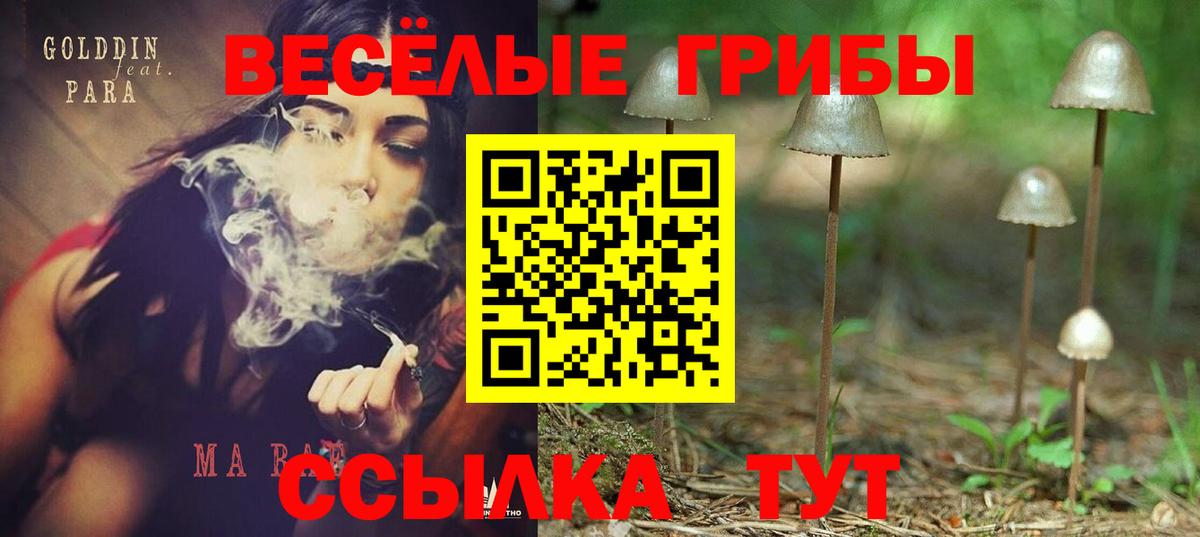 Галлюциногенные грибы ЛСД Конаково